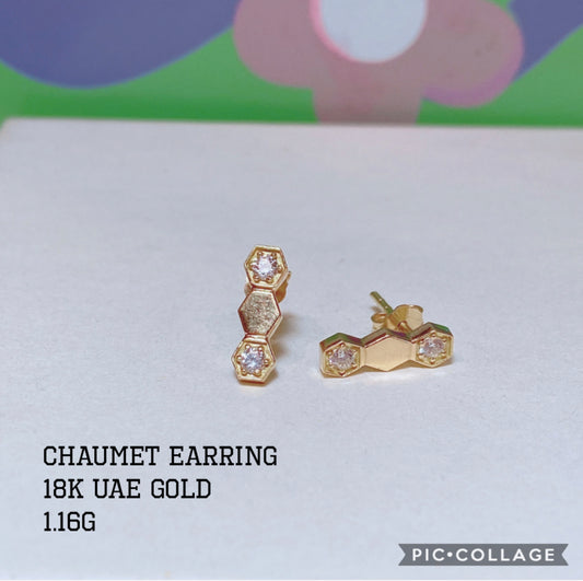 Jewelry - Earring